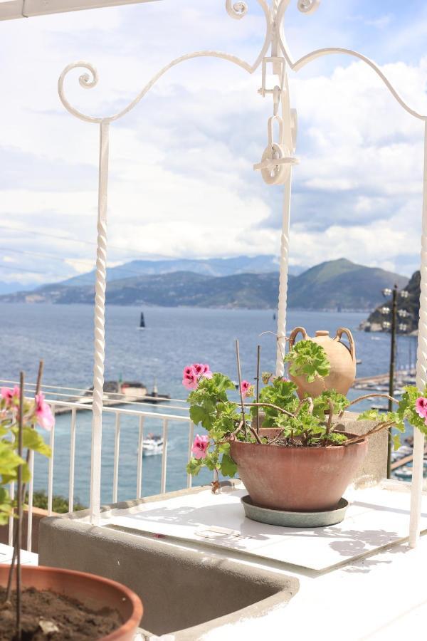 Casa Tarantino Capri Charming Apartments Dış mekan fotoğraf